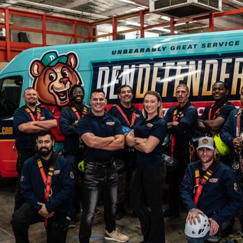 Den Defenders - Our expert team of Chimney Inspectors! - Chimney Sweeps Near Me Den Defenders - Our expert team of Chimney Inspectors! - Chimney Sweeps Near Me