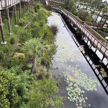 Everglades Elevated Boardwalk - Landmarks & Historical Buildings Near Me - Weston, Florida Everglades Elevated Boardwalk - Landmarks & Historical Buildings Near Me - Weston, Florida