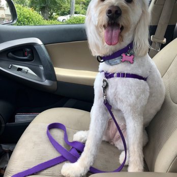 Personal Touch Pet Care - Pet Groomers Near Me - Phoenixville, Pennsylvania Personal Touch Pet Care - Pet Groomers Near Me - Phoenixville, Pennsylvania