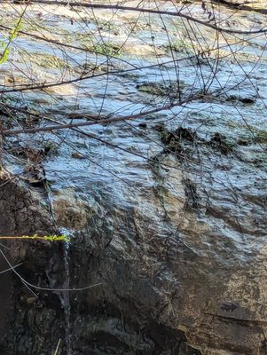 Bethany Lakes Park by null