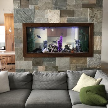 Classic Aquariums - Freshwater aquarium separating the kitchen from the living room set up and maintained by Classic Aquariums. - Aquarium Services Near Me Classic Aquariums - Freshwater aquarium separating the kitchen from the living room set up and maintained by Classic Aquariums. - Aquarium Services Near Me