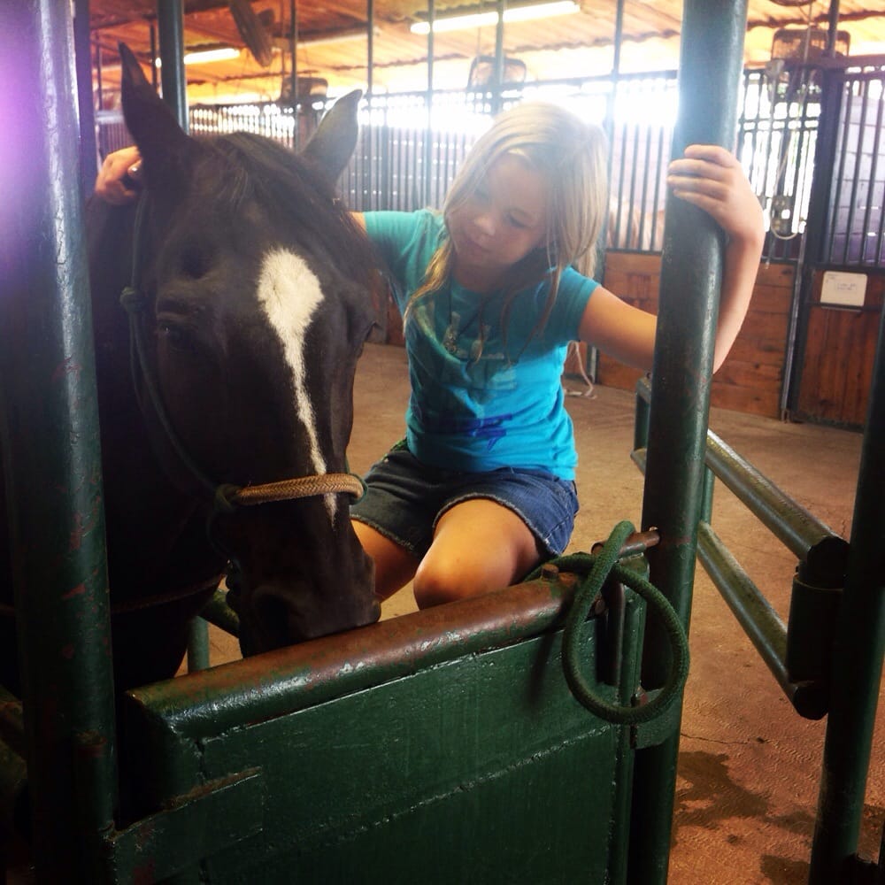 BRAZOS VALLEY EQUINE HOSPITALS Updated August 2024 1920 FM 2268