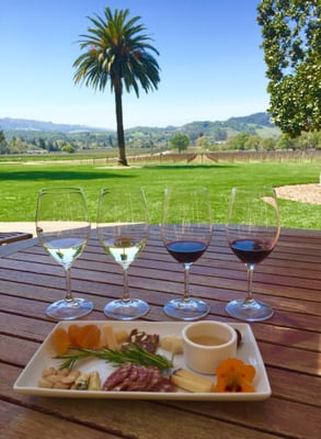 Chateau St. Jean Winery by null