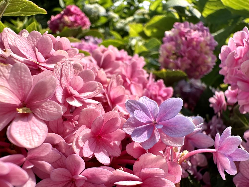 LO TIDE FARM & NURSERY Updated August 2024 10 Photos 650 Depot St