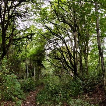 Discovery Park - Get your pano game on. Nature is the bomb. - Parks Near Me - Seattle, Washington Discovery Park - Get your pano game on. Nature is the bomb. - Parks Near Me - Seattle, Washington