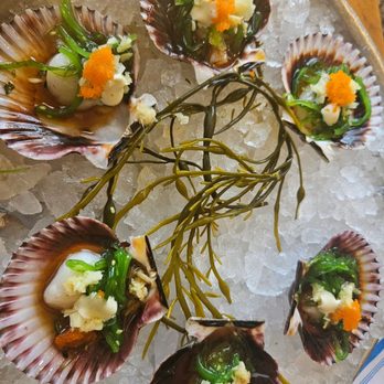 Bluewater Grill Seafood Restaurant Redondo Beach - Seafood Near Me - Redondo Beach, California