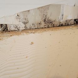 Emergency Restoration Experts - Them using tile adhesive over unremediated mold