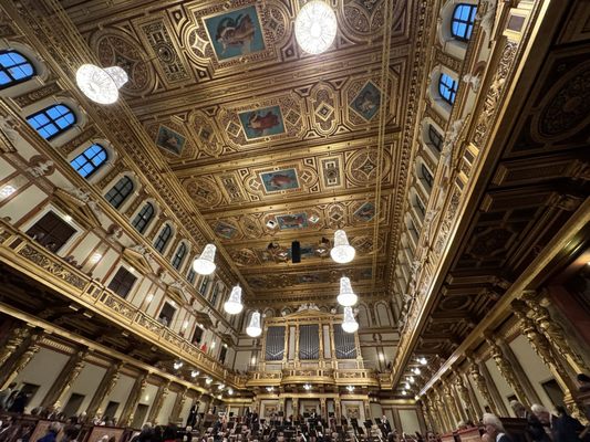 Musikverein Wien by null