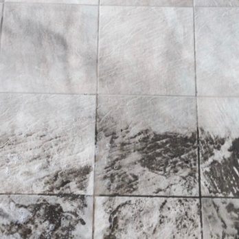 Fresh Carpets - Carpet Cleaning Near Me - Mantua, New Jersey