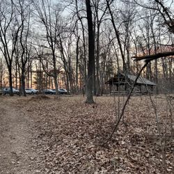 Conway Robinson State Forest - Entrance near parking lot