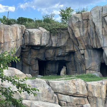 Lincoln Park Zoo - Zoos Near Me - Chicago, Illinois Lincoln Park Zoo - Zoos Near Me - Chicago, Illinois