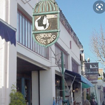 Your Basic Bird - Pet Stores Near Me - Berkeley, California Your Basic Bird - Pet Stores Near Me - Berkeley, California