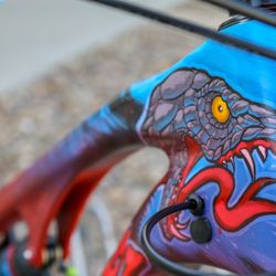 Chainline Bikes - The Shhhhnakeeee - A Custom Intense Recluse
