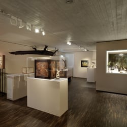 me Collectors Room