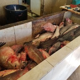 Today's catch Today's catch