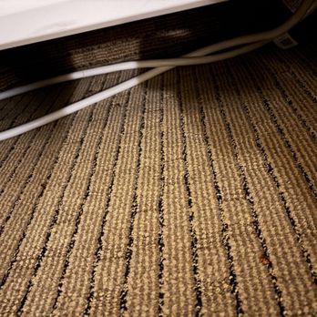 Comfort Suites - So many bugs are dead under the beds and ac, they do not vacuum! - Hotels Near Me - Palestine, Texas Comfort Suites - So many bugs are dead under the beds and ac, they do not vacuum! - Hotels Near Me - Palestine, Texas
