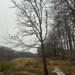 Woodglen Lake