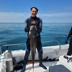 Florida Aqua Tribe - 38inch Cobia
