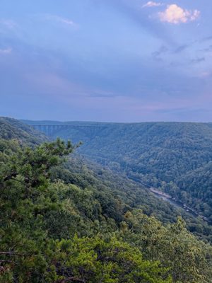 Adventures on the Gorge by null