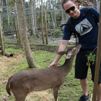 Jungle Adventures - lol An amazing new experience...Get the VIP Animal Handling Training Adventures!! - Tours Near Me - Christmas, Florida Jungle Adventures - lol An amazing new experience...Get the VIP Animal Handling Training Adventures!! - Tours Near Me - Christmas, Florida