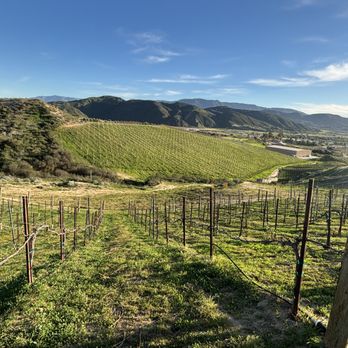 Gershon Bachus Vintners - Beautiful views of the vineyards and surrounding hills. - Venues & Event Spaces Near Me - Temecula, California