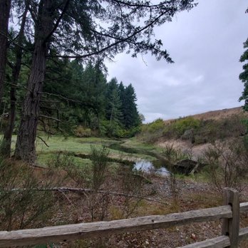 Sequalitchew Creek Trail - Hiking Near Me - Dupont, Washington Sequalitchew Creek Trail - Hiking Near Me - Dupont, Washington