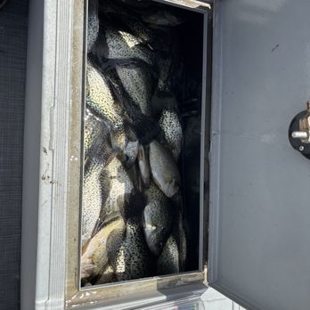 Caney Creek Crappie - Full of fish - Fishing Near Me