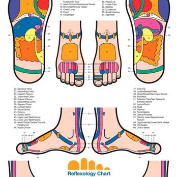 Tranquil Kneads - Relaxing and therapeutic reflexology massage! That includes hands, not just feet! - Massage Therapy Near Me - Oakland Park, Florida Tranquil Kneads - Relaxing and therapeutic reflexology massage! That includes hands, not just feet! - Massage Therapy Near Me - Oakland Park, Florida