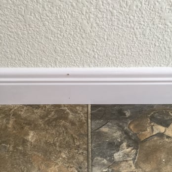 Empire Today - Nails sticking out :( - Flooring Near Me Empire Today - Nails sticking out :( - Flooring Near Me