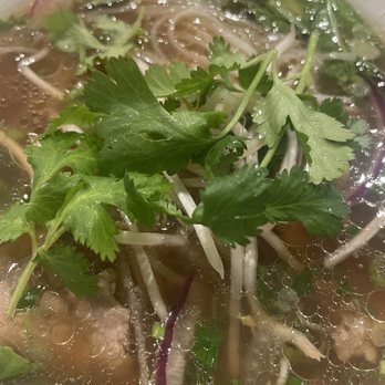 Pho Kitchen - Pho (#5) - Vietnamese Near Me - Pinetop-Lakeside, Arizona