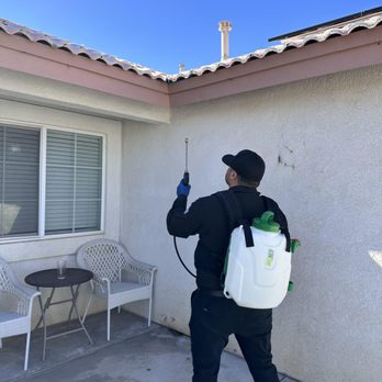 Pest Point Solutions - Pest Control Near Me Pest Point Solutions - Pest Control Near Me