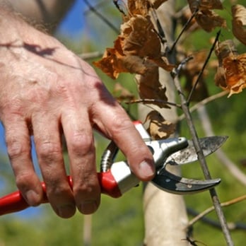 S H Tree Services - Tree Services Near Me