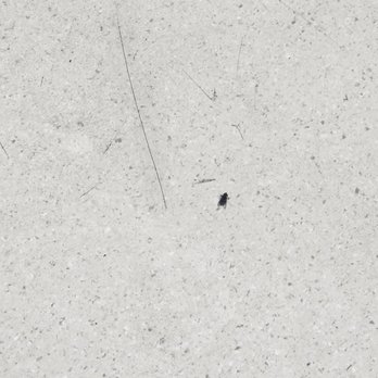 Samaritan Albany General Hospital - Dead fly in ER - Nutritionists Near Me - Albany, Oregon Samaritan Albany General Hospital - Dead fly in ER - Nutritionists Near Me - Albany, Oregon