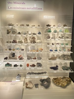 Royal Alberta Museum by null