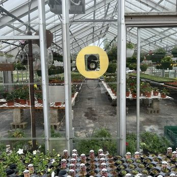 Two Seasons Greenhouse - Greenhouse #6, as you first enter the property - Nurseries & Gardening Near Me - Belding, Michigan