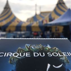 Cirque du Soleil AMALUNA