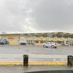 Murphy's Markets - Cutten