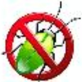 Salem Pest Management - Pest Control Near Me Salem Pest Management - Pest Control Near Me