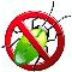 Salem Pest Management