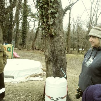 BENNER’S FARM - Updated December 2025 - 55 Photos & 29 Reviews - 56 ...