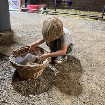 Cress Creeks Farm - Farm tour - Venues & Event Spaces Near Me - Ellijay, Georgia
