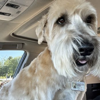 Fancy Paws Pet Salon - Pet Groomers Near Me - Gilbert, Arizona