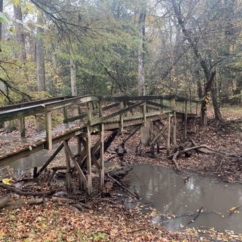 Congaree National Park - Bridge on oak ridge trail - Parks Near Me - Hopkins, South Carolina