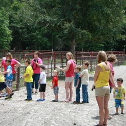 M & R Ranch-Performance Horses of Georgia - Children Waiting for Their Ride On The Horse At Birthday Party