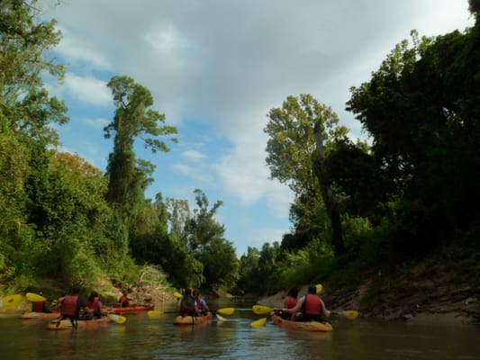 Bayou City Adventures by null