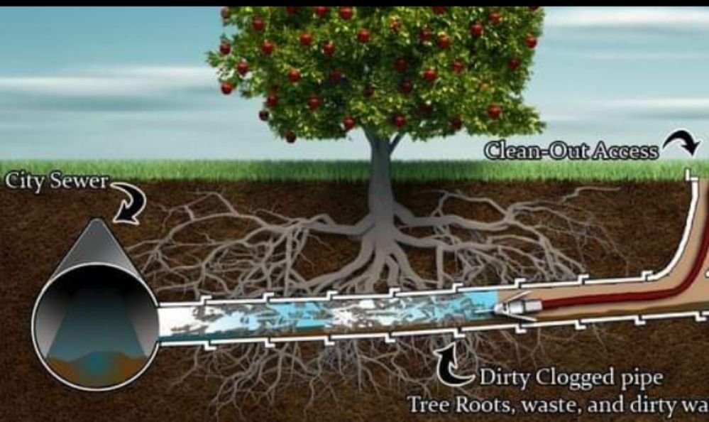 Slide of Schaefer Plumbing & Drain Cleaning