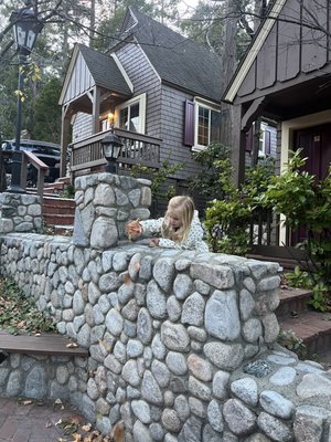 Saddleback Inn by null