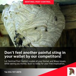 Sentinel Pest Control - It's that time of year again. Buzz us today for your free assessment and inspection.