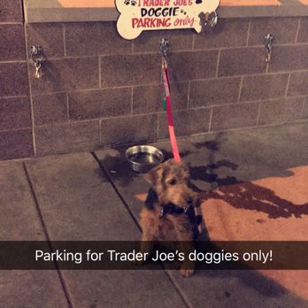 Trader Joe's Wine - Doggie parking! - Grocery Near Me - Denver, Colorado
