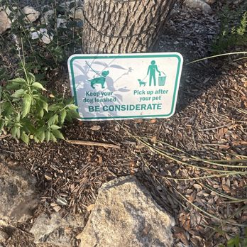 The Shady Llama - Beer Gardens Near Me - Wimberley, Texas The Shady Llama - Beer Gardens Near Me - Wimberley, Texas